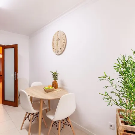 Hibiscos - Minho's Guest