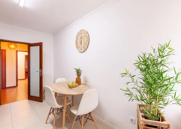 Hibiscos - Minho's Guest